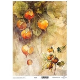 Translucent scrapbookpapier P0240