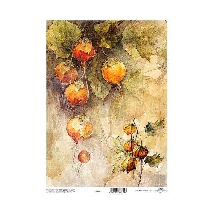 Translucent scrapbookpapier P0240