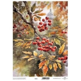 Translucent scrapbookingpapier P0241