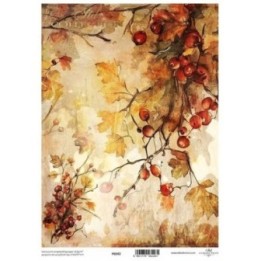 Translucent scrapbookingpapier P0242