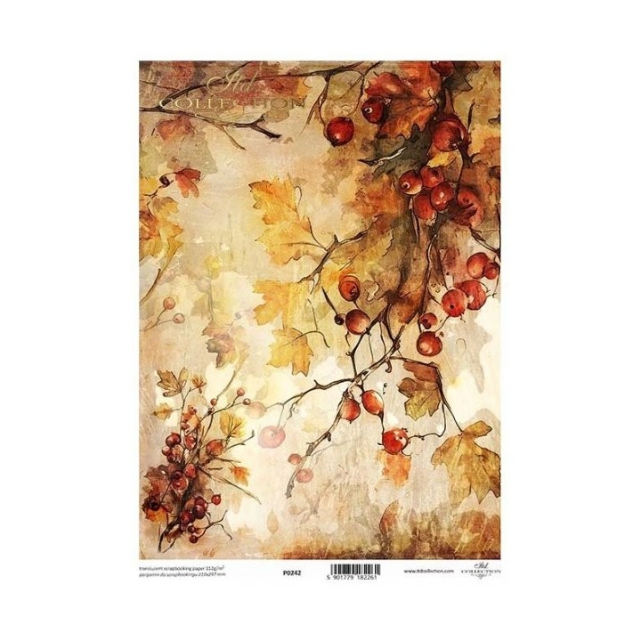 Translucent scrapbookingpapier P0242