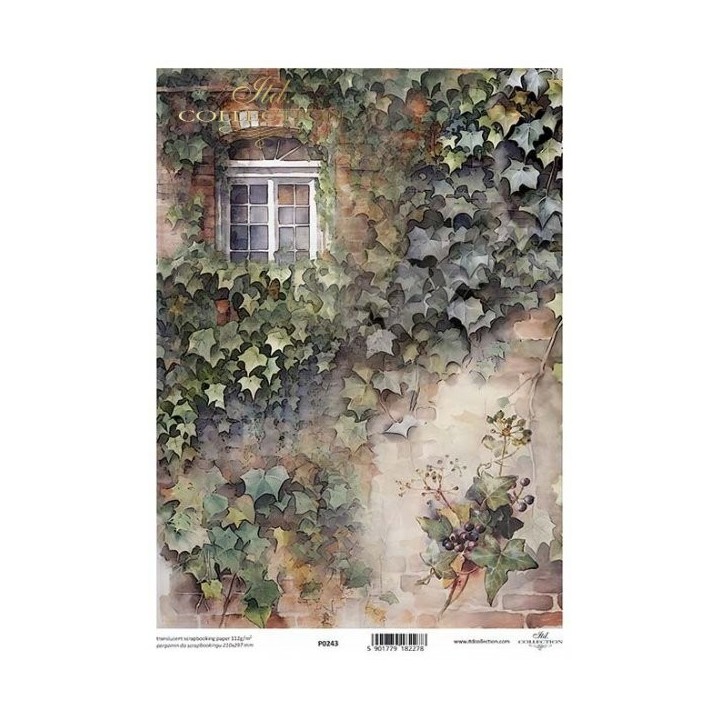 Translucent scrapbookingpapier P0243
