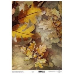 Translucent scrapbookingpapier P0246