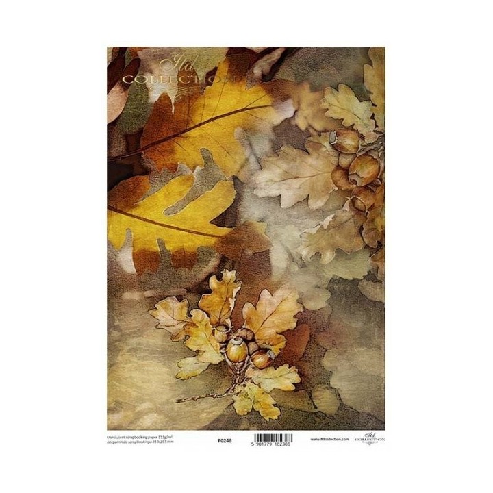 Translucent scrapbookingpapier P0246