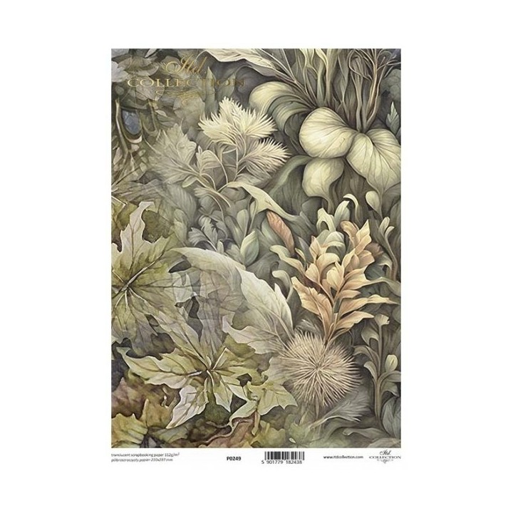 Translucent scrapbookingpapier P0249
