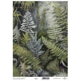 Translucent scrapbookpapier P0250