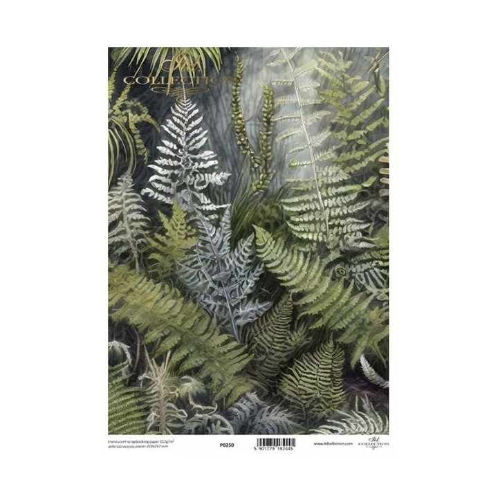 Translucent scrapbookpapier P0250