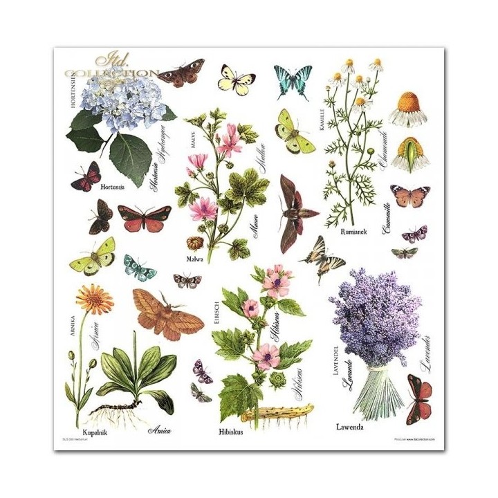 Scrapbookingpapier SLS-035 ''Herbarium'' ---- PRODUCT MET KORTING