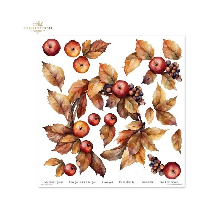 Scrapbookingpapier SLS-081 Herfstkrans