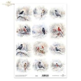 Translucent scrapbookpapier P0321