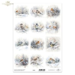 Translucent scrapbookpapier P0320