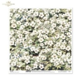 scrapbookpapier SL1729