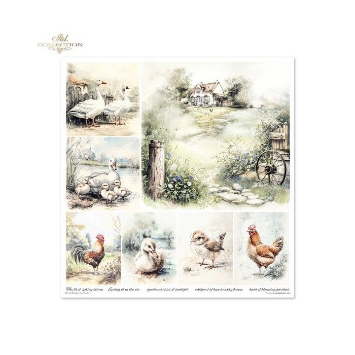 Scrapbookingpapier SLS-088 Cottage in the Country