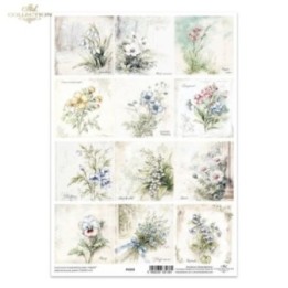 Translucent scrapbookpapier P0333