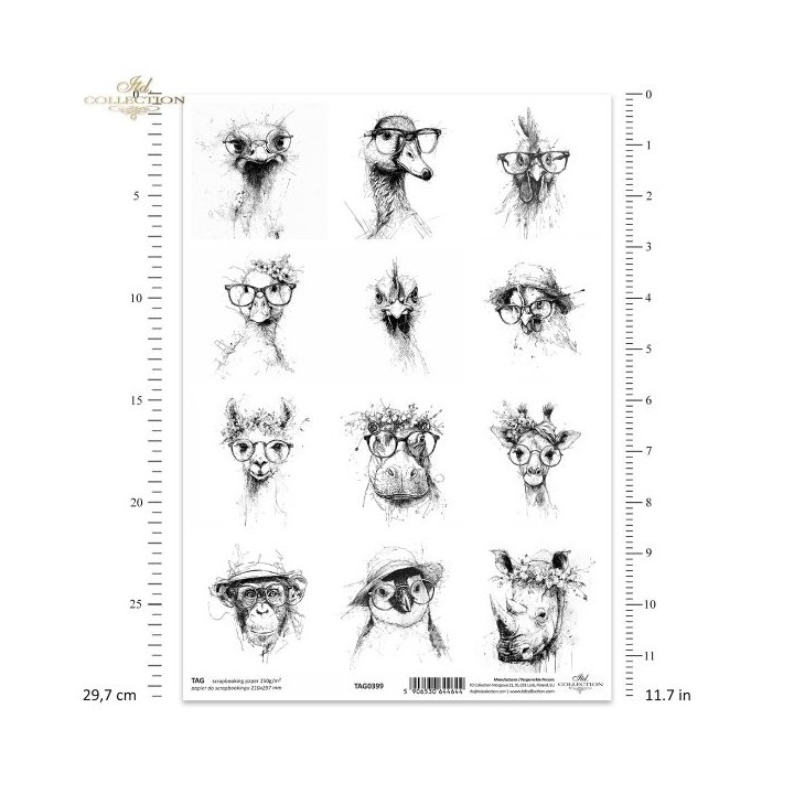  frames voor scrapbooking TAG0399