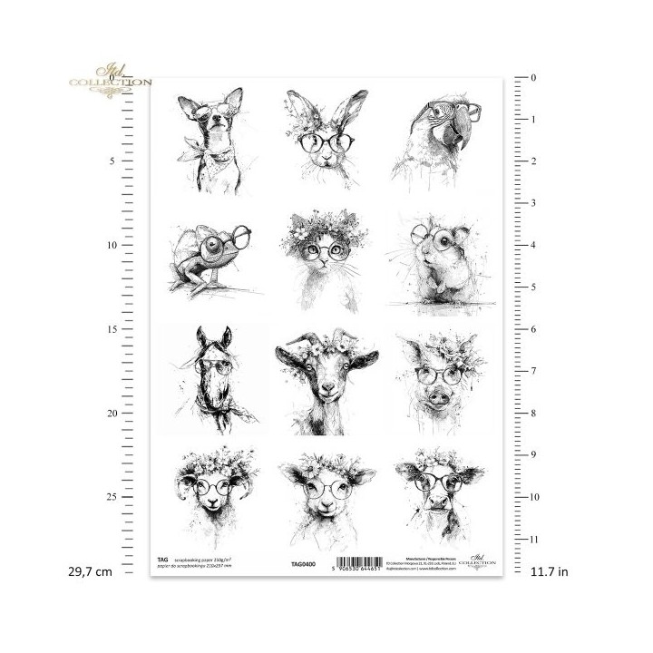  frames voor scrapbooking TAG0400