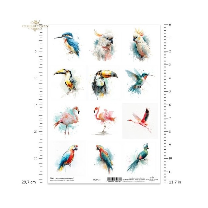  frames voor scrapbooking TAG0413