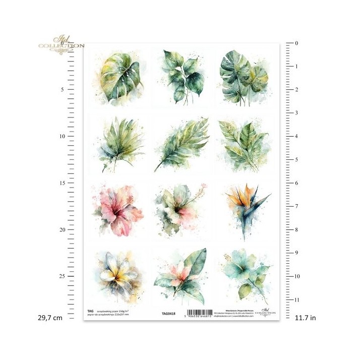  frames voor scrapbooking TAG0418
