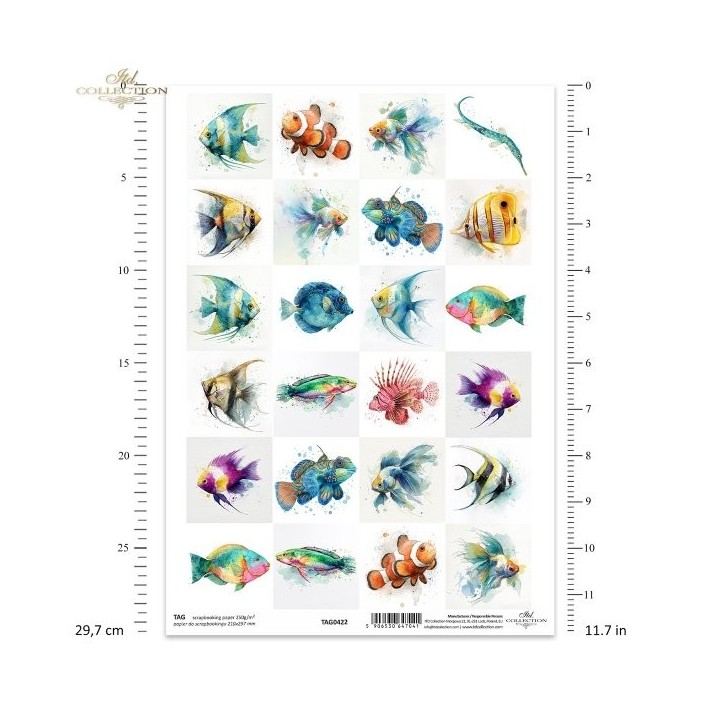  frames voor scrapbooking TAG0422