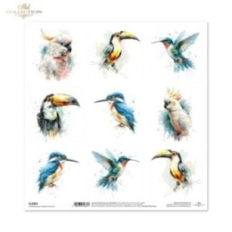 scrapbookpapier SL2062
