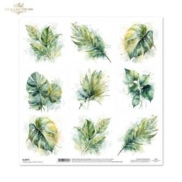 scrapbookpapier SL2072