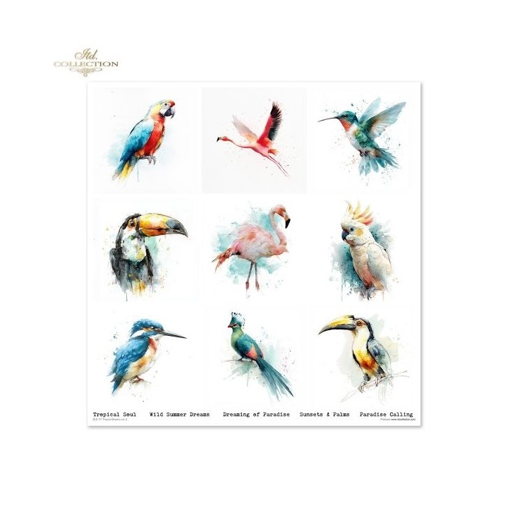 Scrapbookingpapier SLS-111 Tropical Dreams deel 2