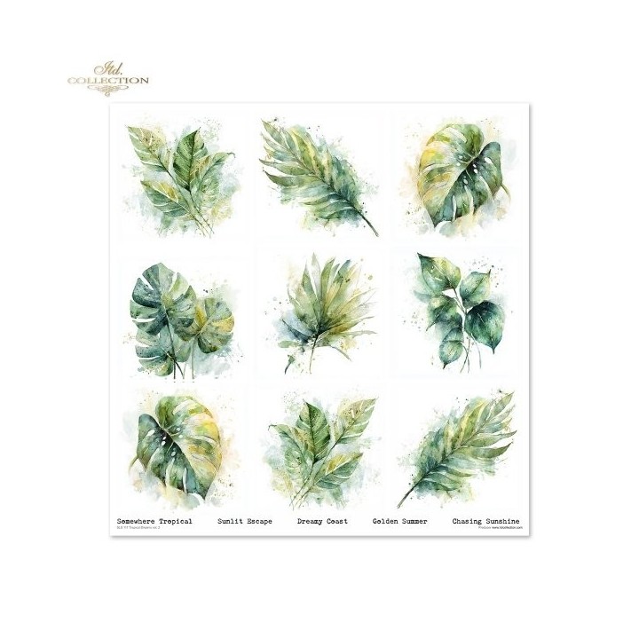 Scrapbookingpapier SLS-111 Tropical Dreams deel 2