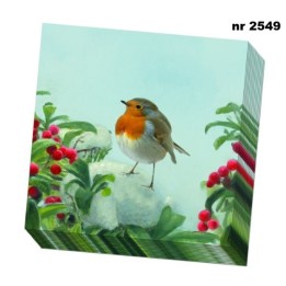 A Robin's Winter, Vogelbescherming Nederland servet 33x33cm
