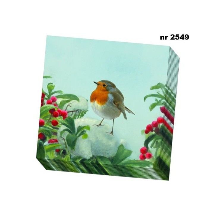 A Robin's Winter, Vogelbescherming Nederland servet 33x33cm
