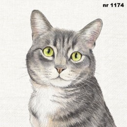 FARM cat servet 33x33cm (L-1047660)