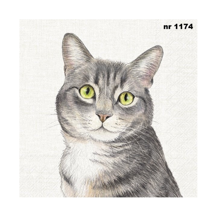 FARM cat servet 33x33cm (L-1047660)