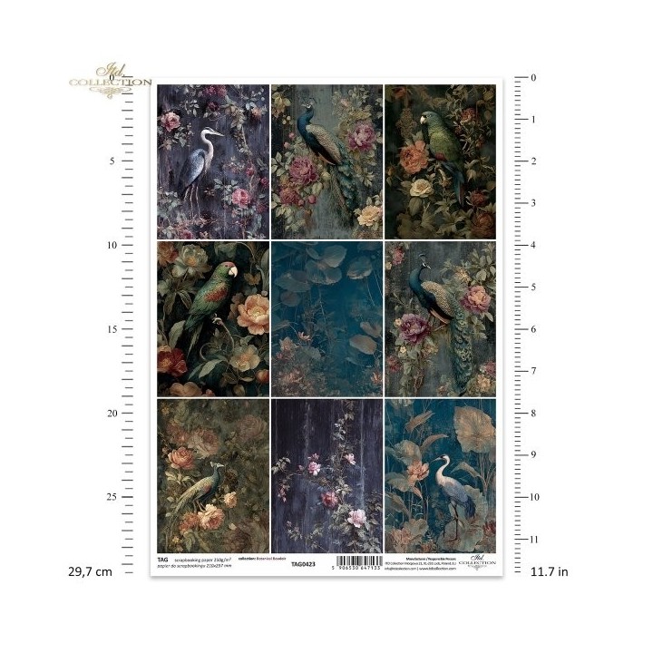  kaders voor scrapbooking  TAG0423