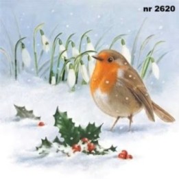 Robin