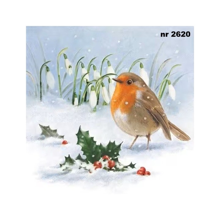 Robin