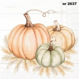 Pumpkin Trio servet 33x33cm
