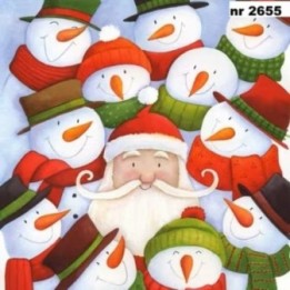 Santas Circle servet 33x33cm