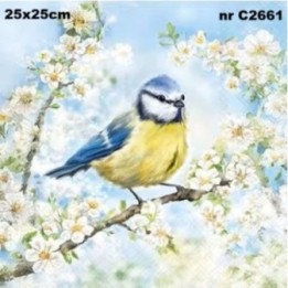 Blossom Time servet 25x25cm