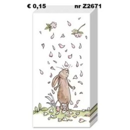 Blossom and Bunnies zakdoek 22x22cm