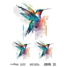 Cadence Birdsong Easy Transfer 25x35 cm Kolibri