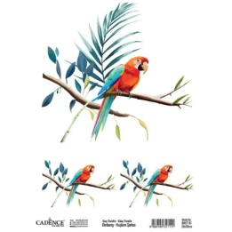 Cadence Birdsong Easy Transfer 25x35 cm Papagaai