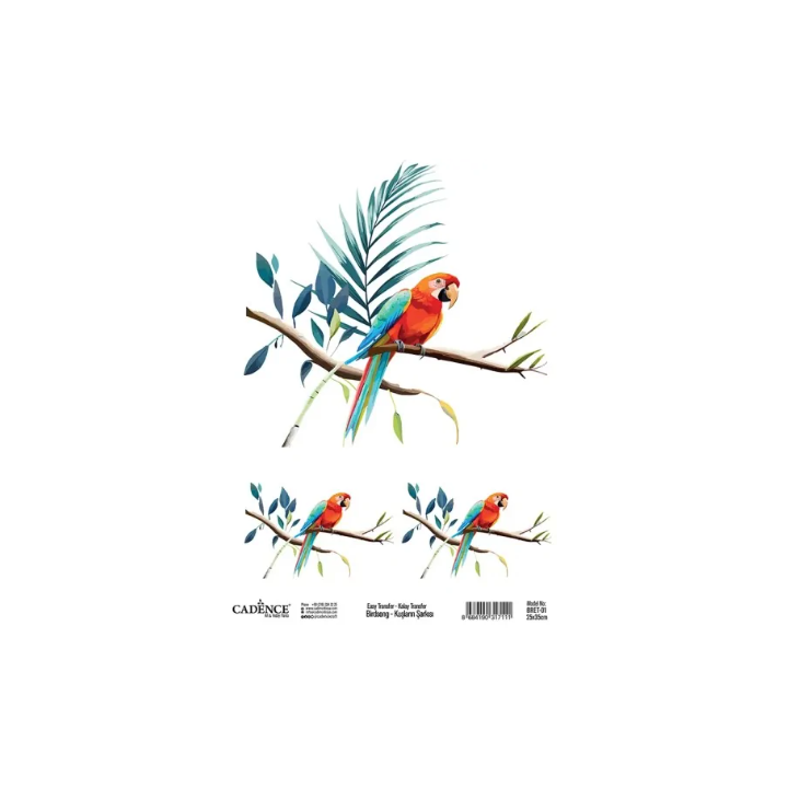 Cadence Birdsong Easy Transfer 25x35 cm Papagaai