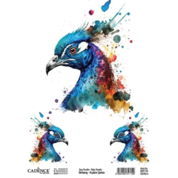 Cadence Birdsong Easy Transfer 25x35 cm Pauw