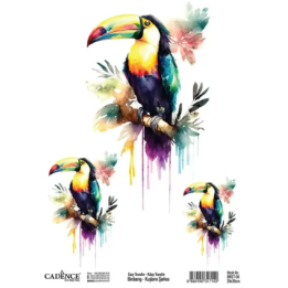 Cadence Birdsong Easy Transfer 25x35 cm Toekan