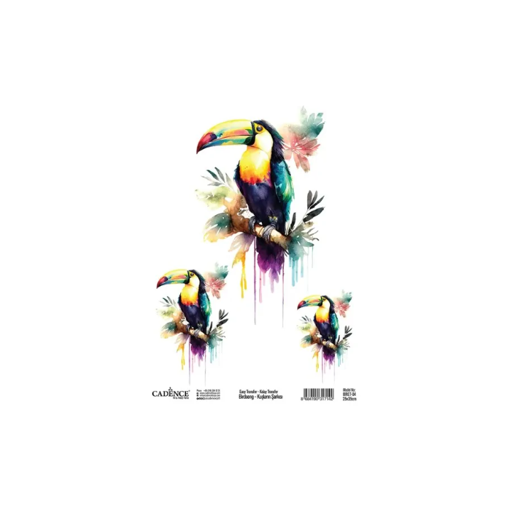 Cadence Birdsong Easy Transfer 25x35 cm Toekan