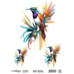 Cadence Birdsong Easy Transfer 25x35 cm Tropische vogel