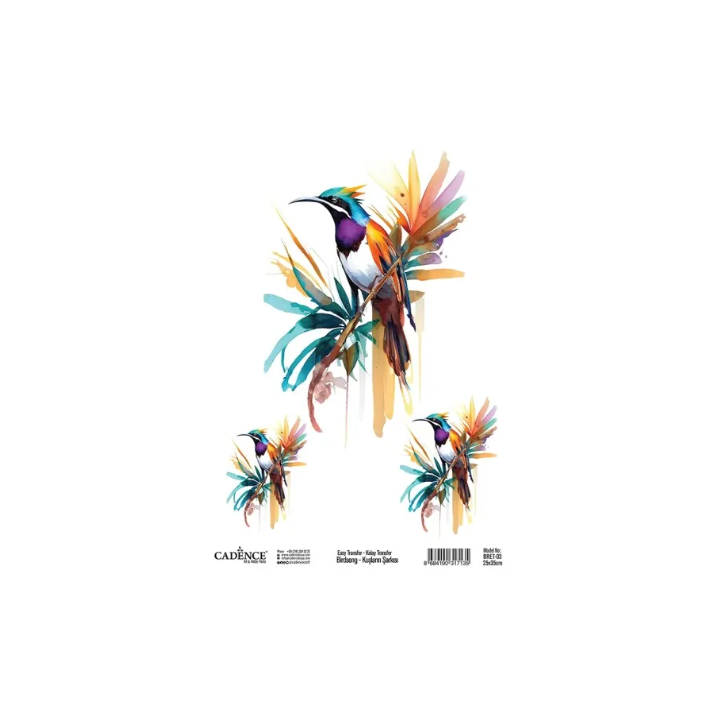 Cadence Birdsong Easy Transfer 25x35 cm Tropische vogel