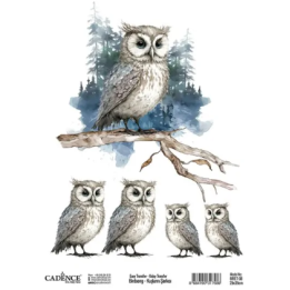 Cadence Birdsong Easy Transfer 25x35 cm Uil