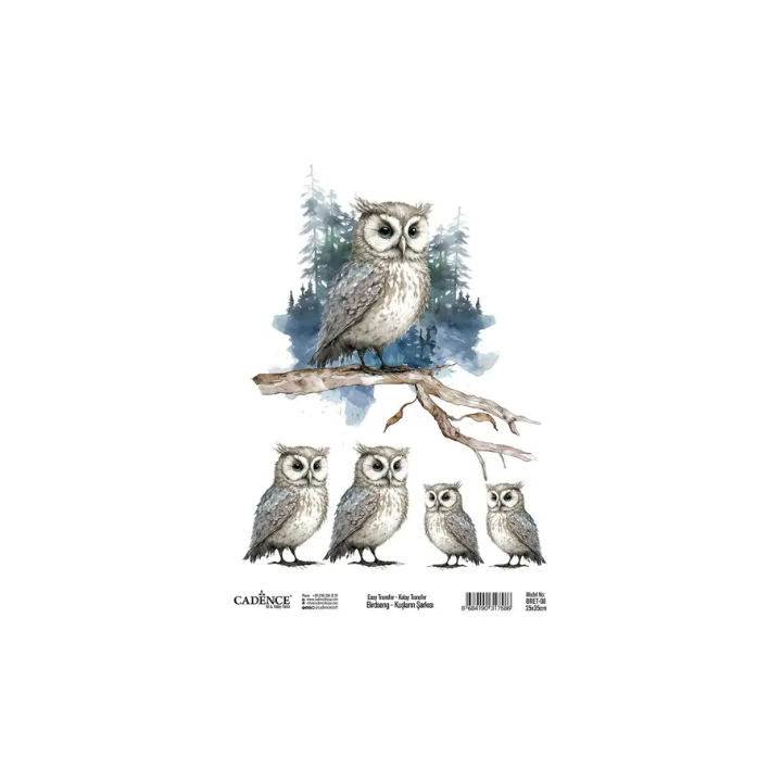 Cadence Birdsong Easy Transfer 25x35 cm Uil