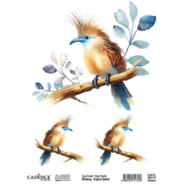 Cadence Birdsong Easy Transfer 25x35 cm Vogel blauwe snavel