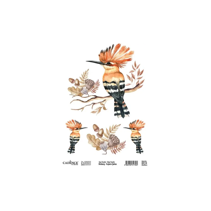 Cadence Birdsong Easy Transfer 25x35 cm Vogel met kuif